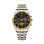 Montre de Luxe White Gold