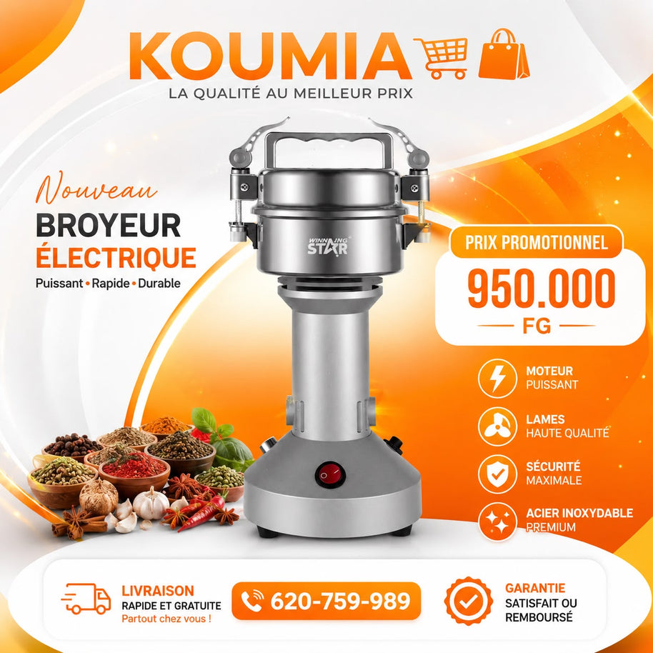 Broyeur électrique