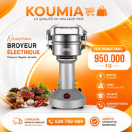 Broyeur électrique