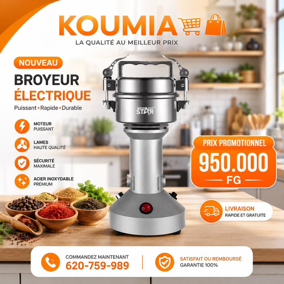 Broyeur électrique